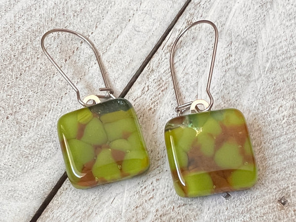 Fused Glass Earrings~ Glam Cam